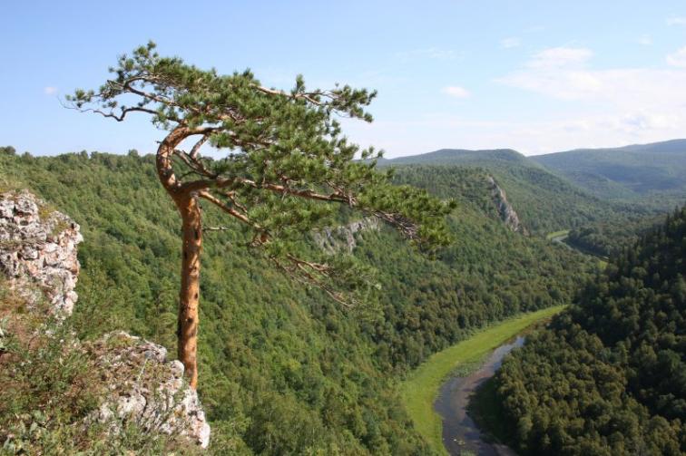 Республика Башкортостан национальный парк башкортостан